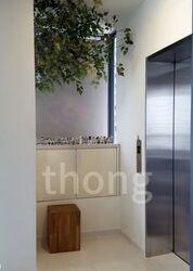 Skyline 360 @ Saint Thomas Walk (D9), Condominium #634643021